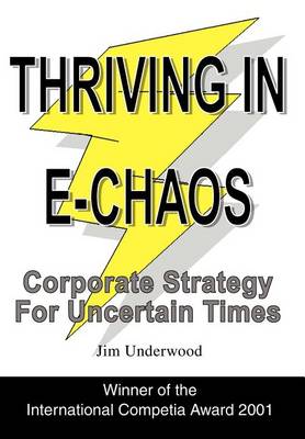 Thriving in E-Chaos: Corporate Strategy for Uncertain Times (Hardback)