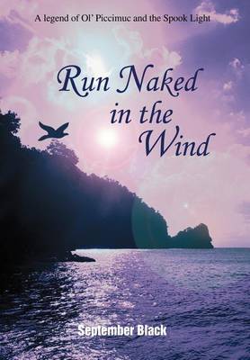Run Naked in the Wind: A Legend of Ol' Piccimuc and the Spook Light (Hardback)