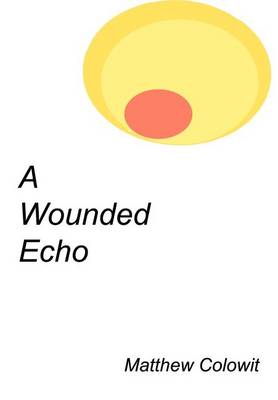A Wounded Echo (Hardback)