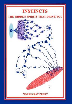 Instincts: The Hidden Spirits That Drive You (Hardback)