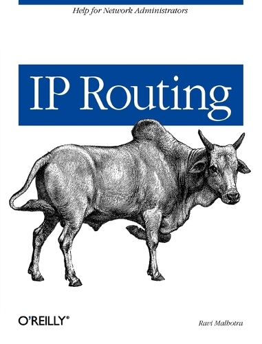 IP Routing (Paperback)