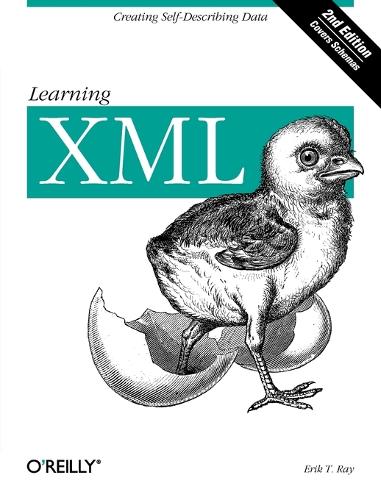 Learning XML (Paperback)
