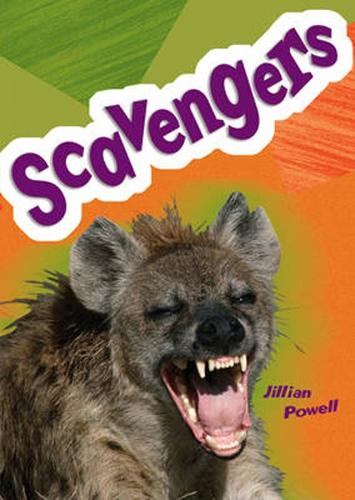 Pocket Facts Year 5: Scavengers - POCKET READERS NONFICTION (Paperback)