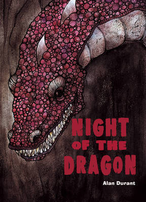 Pocket Chillers Year 4 Horror Fiction: Book 2 - The Night of the Dragon - POCKET READERS HORROR (Paperback)