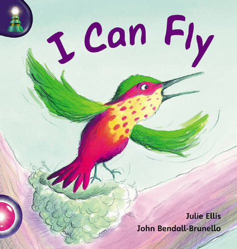 Lighthouse Reception Pink B: I Can Fly - LIGHTHOUSE (Paperback)