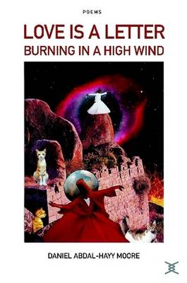 Love is a Letter Burning in a High Wind / Poems (Paperback)