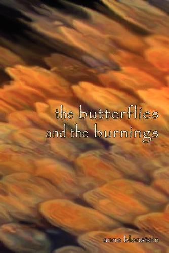 The Butterflies and the Burnings (Paperback)
