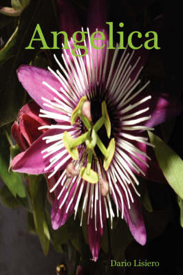 Angelica (Paperback)