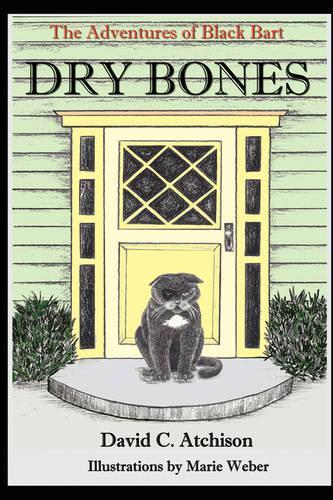 The Adventures of Black Bart: Dry Bones (Paperback)