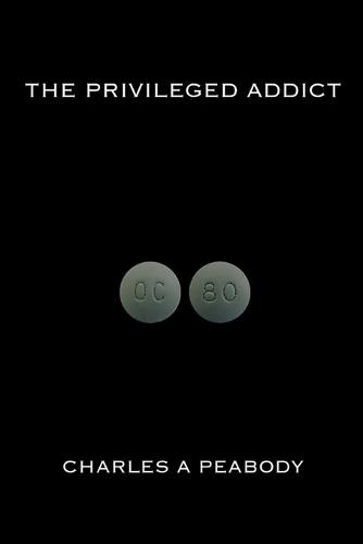 The Privileged Addict (Paperback)