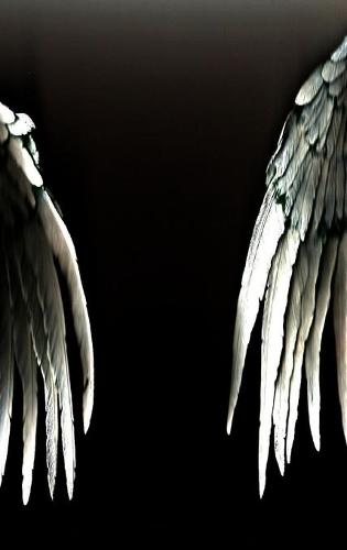 The Angels of Resistance (Hardcover) (Hardback)