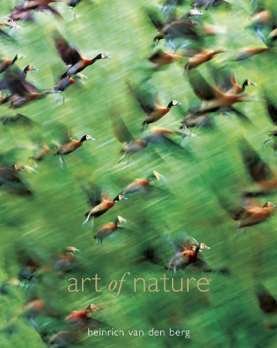 Art Of Nature (Hardback)