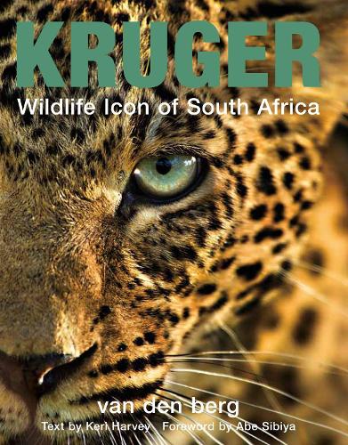 Kruger: Wildlife Icon Of South Africa (Paperback)
