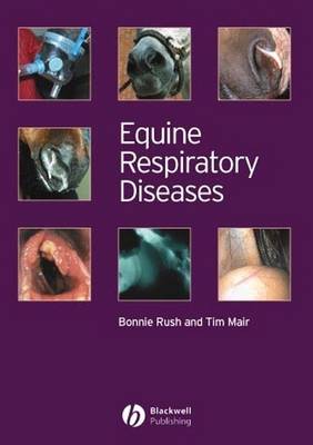 Equine Respiratory Diseases (Paperback)