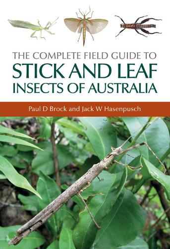 The Complete Field Guide to Stick and Leaf Insects of Australia (Paperback)