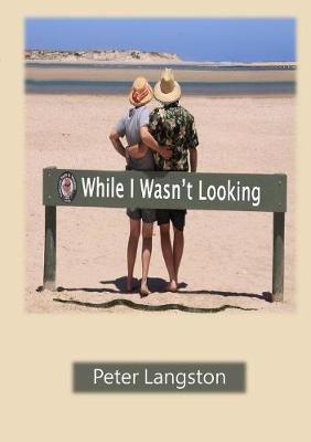 While I Wasn't Looking (Paperback)