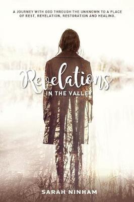Revelations in the Valley (Paperback)