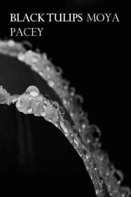 Black Tulips (Paperback)