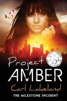 Project Amber - Milestone 2 (Paperback)