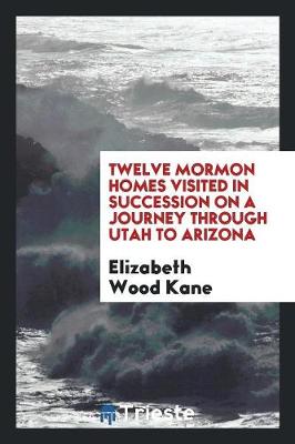 Twelve Mormon Homes Visited in Succession on a Journey Through Utah to Arizona (Paperback)