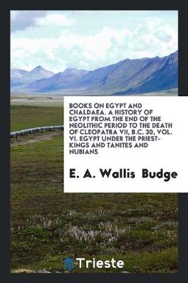Books on Egypt and Chaldaea. a History of Egypt from the End of the Neolithic Period to the Death of Cleopatra VII, B.C. 30, Vol. VI. Egypt Under the Priest-Kings and Tanites and Nubians (Paperback)