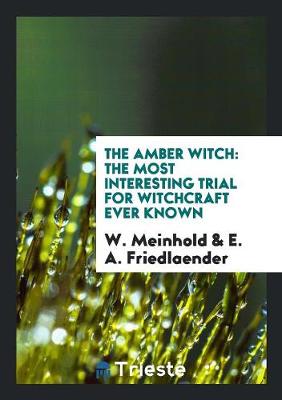 The Amber Witch: The Most Interesting Trial for Witchcraft Ever Known (Paperback)