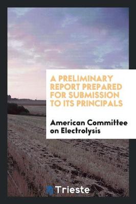 A Preliminary Report Prepared for Submission to Its Principals (Paperback)