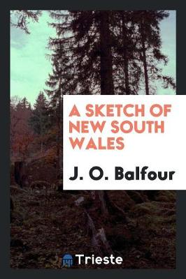 A Sketch of New South Wales (Paperback)