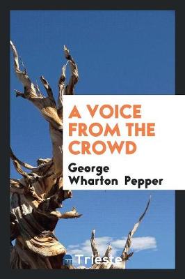 A Voice from the Crowd (Paperback)