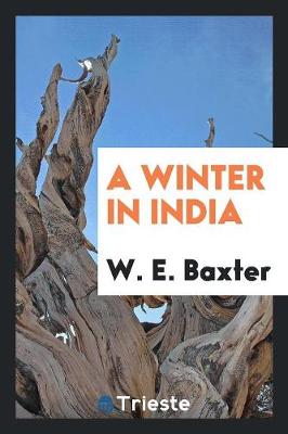 A Winter in India (Paperback)