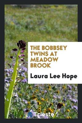 The Bobbsey Twins at Meadow Brook (Paperback)