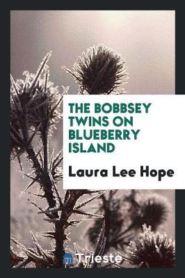 The Bobbsey Twins on Blueberry Island (Paperback)