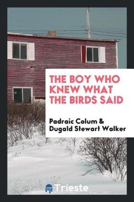 The Boy Who Knew What the Birds Said (Paperback)
