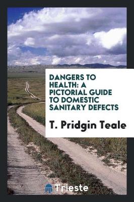 Dangers to Health: A Pictorial Guide to Domestic Sanitary Defects (Paperback)