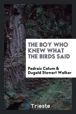 The Boy Who Knew What the Birds Said (Paperback)