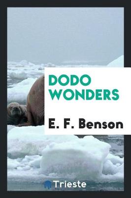 Dodo Wonders (Paperback)