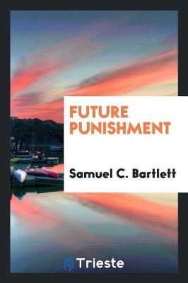 Future Punishment (Paperback)