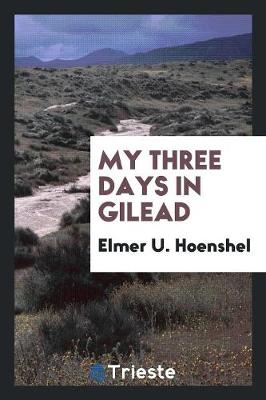 My Three Days in Gilead (Paperback)