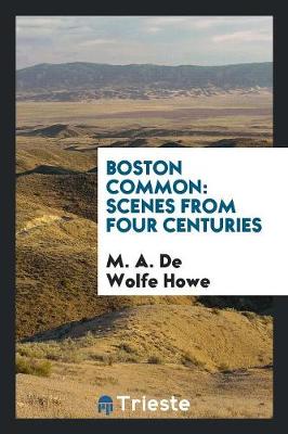 Boston Common: Scenes from Four Centuries (Paperback)