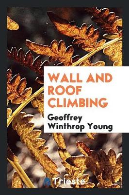 Wall and Roof Climbing (Paperback)