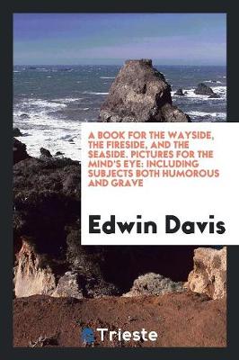 A Book for the Wayside, the Fireside, and the Seaside. Pictures for the Mind's Eye: Including Subjects Both Humorous and Grave (Paperback)