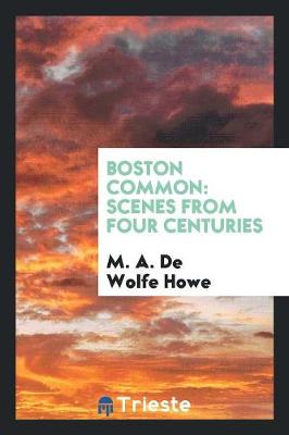 Boston Common: Scenes from Four Centuries (Paperback)