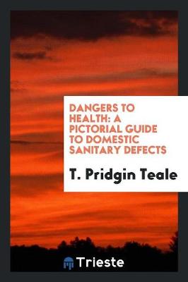 Dangers to Health: A Pictorial Guide to Domestic Sanitary Defects (Paperback)
