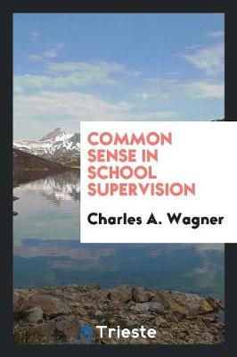Common Sense in School Supervision (Paperback)