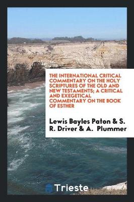 A Critical and Exegetical Commentary on the Book of Esther (Paperback)