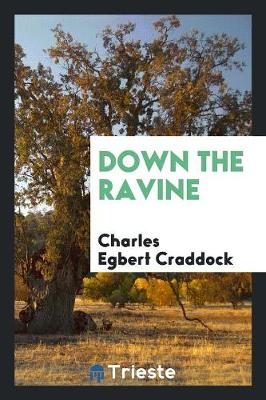 Down the Ravine (Paperback)
