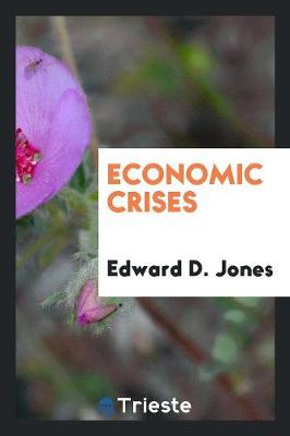 Economic Crises (Paperback)