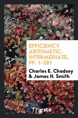 Efficiency Arithmetic: Intermediate, Pp. 1-281 (Paperback)