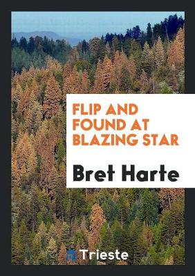 Flip and Found at Blazing Star (Paperback)