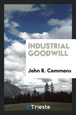 Industrial Goodwill (Paperback)